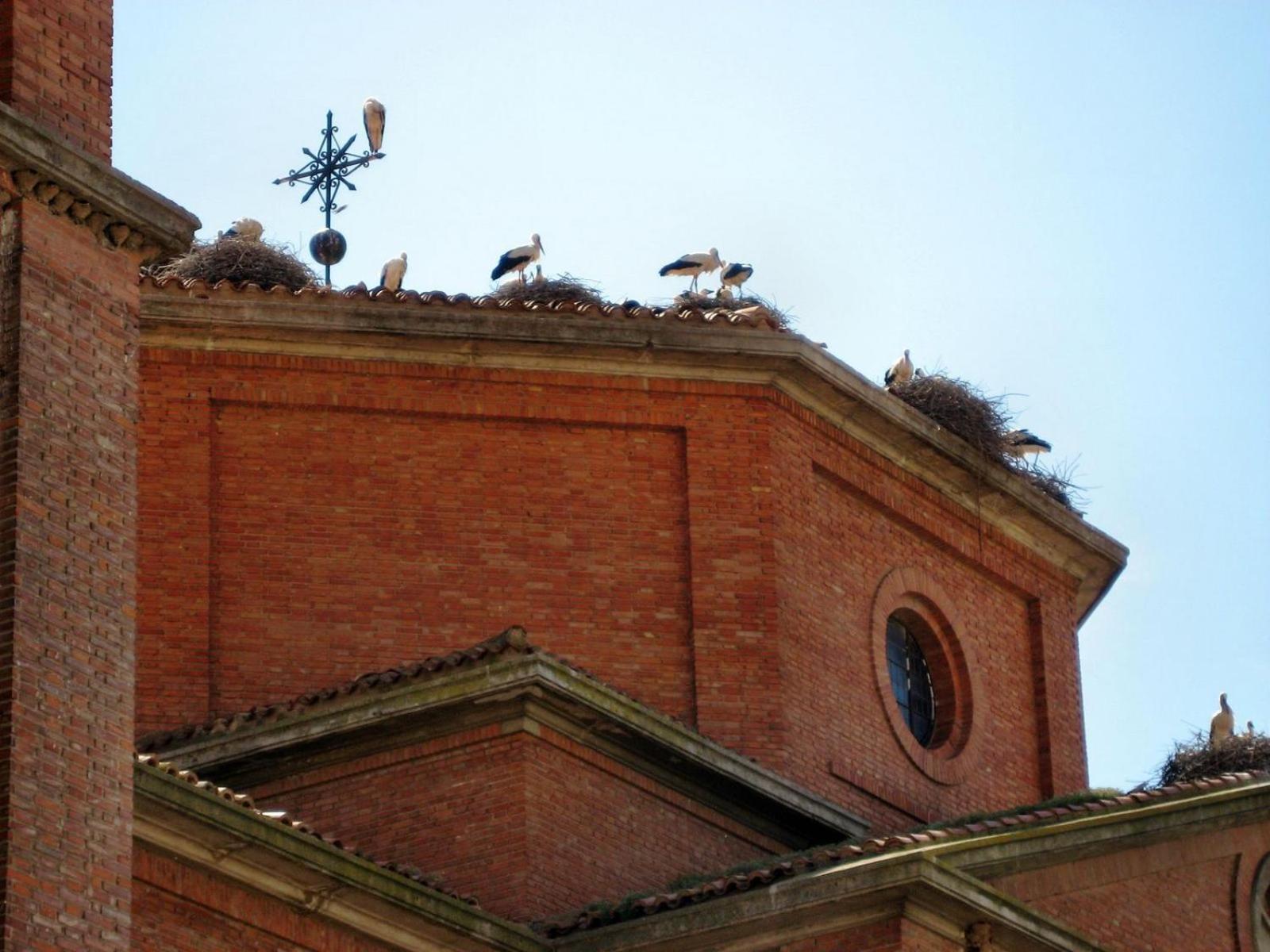 Hotel Rios San Adrián Esterno foto